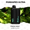Punkapes ultra 6000 fresh mint