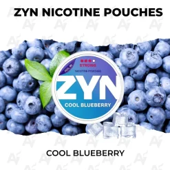 Zyn nicotine cool blueberry