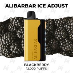 Alibarbar ice adjust 12000 puffs blackberry