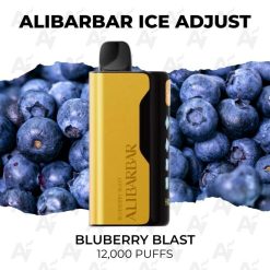 buy Alibarbar ice adjust 12000 puffs bluberry blast at Australian Vapers