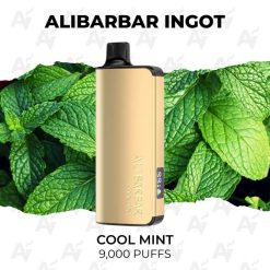 buy Alibarbar ingot 9000 puffs cool mint at Australian Vapers
