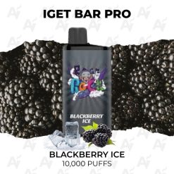 iget bar pro 10000 puffs blackberry ice