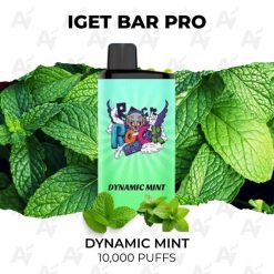 iget bar pro 10000 puffs dynamic mint