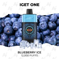 Iget one 12000 blueberry ice