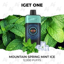 iget one 12000 puffs mountain spring mint ice