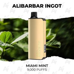 Alibarbar ingot 9000 puffs miami mint